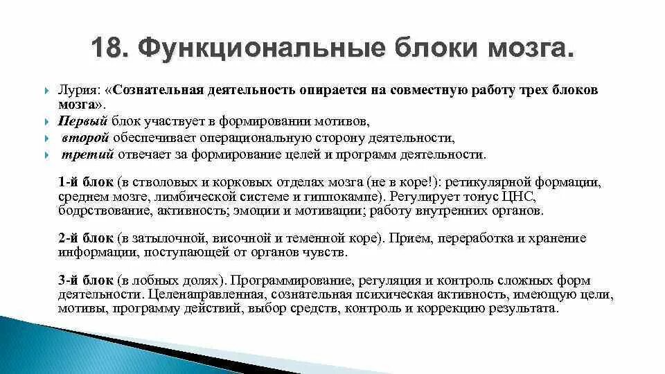 Блоки лурия функции. Функциональные блоки мозга. функциональные блоки лурия.