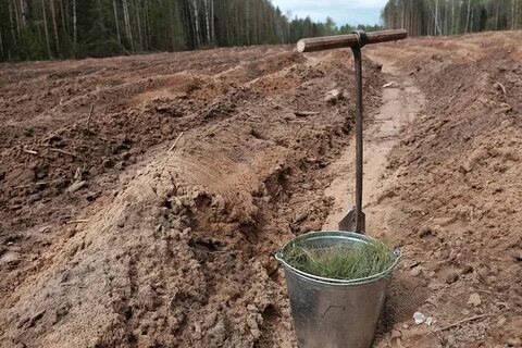 Область восстановления