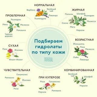 Травы полезные для кожи
