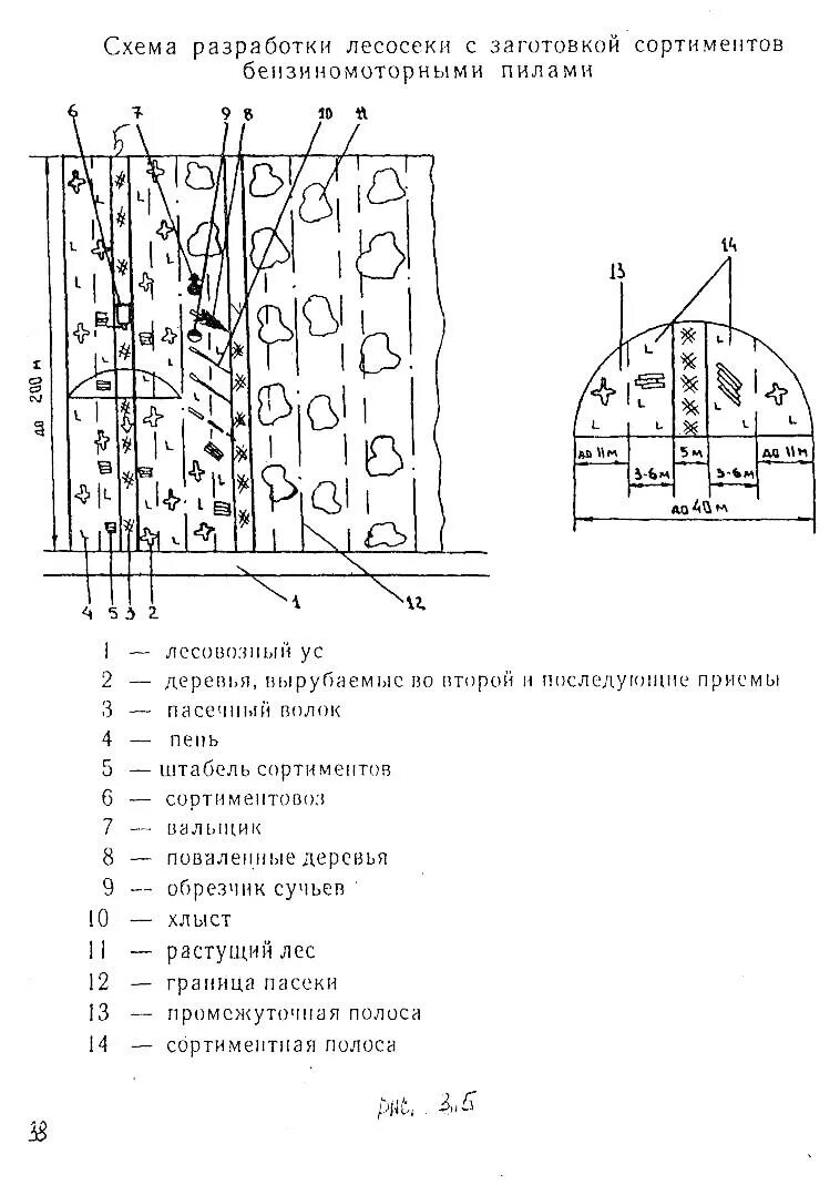 Лес технологическая карта. Среднепасечная технология разработки лесосек схема. Схема разработки лесосеки бензомоторными пилами. Схема разработки лесосеки условные обозначения. Схема лесосеки при сплошных рубках.