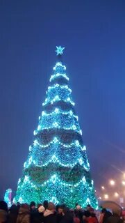 Елки 2018