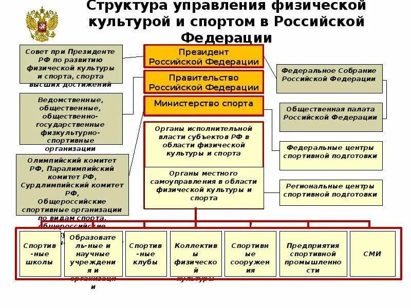 Структура современной государственной организации. Структура управления физической культурой и спортом в рф. структура управления физической культурой и спортом в российской. структура управления физической культурой и спортом в рф схема. структура министерства спорта рф схема.