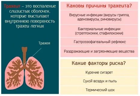 Острый трахеит симптомы и лечение у взрослых