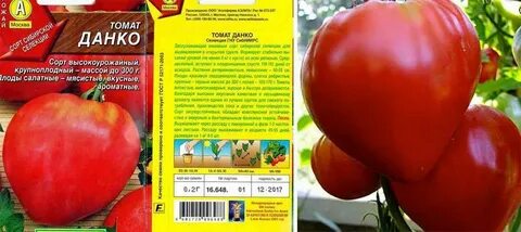 Данко томат описание