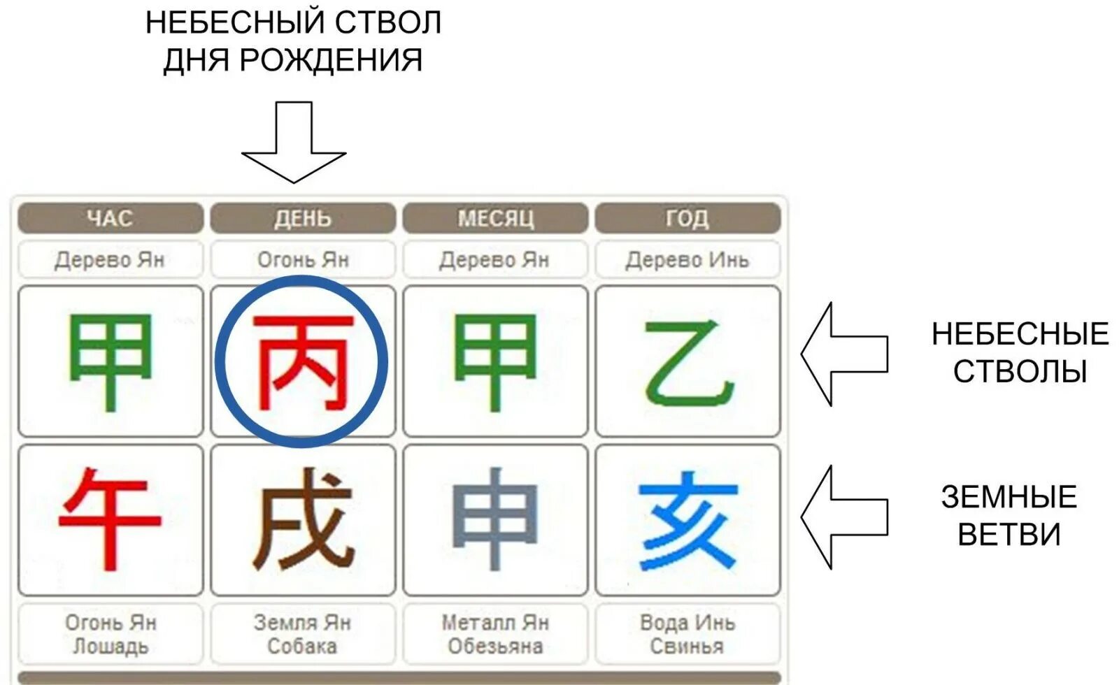Дерево Инь иероглиф Бацзы. Небесные стволы в ба Цзы. 10 Небесных стволов в ба Цзы. Огонь Инь в Бацзы. Года ба цзы