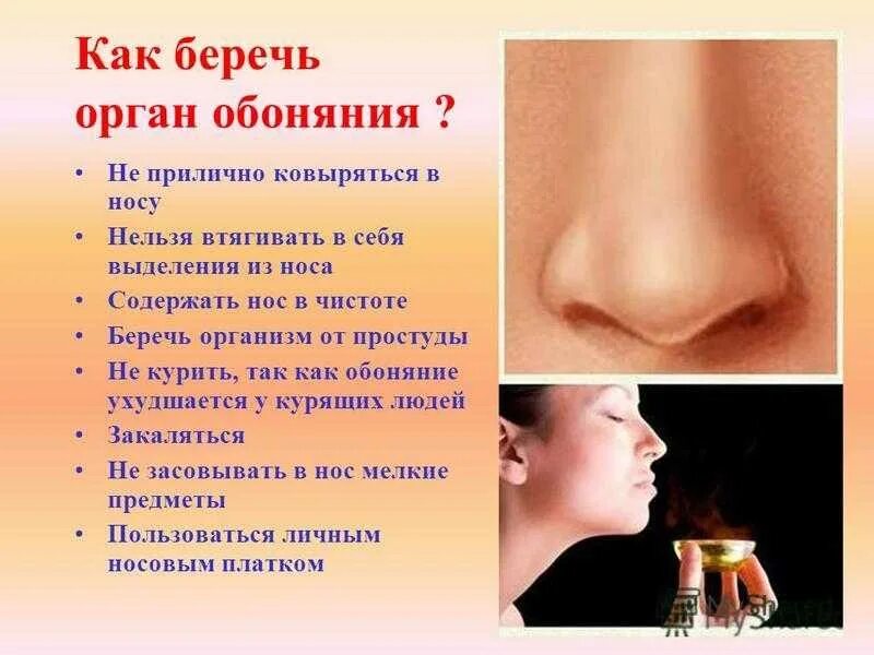 Как восстановить сожженную слизистую