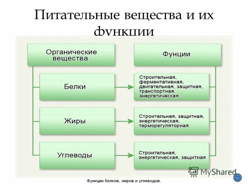Как представить команду в презентации