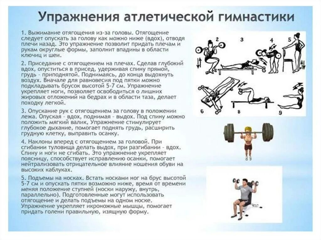 Система гантелями. Атлетическая гимнастика комплекс упражнений. Комплекс силовых упражнений с отягощениями. Атлетическая гимнастика комплекс упражнений физкультура. Комплекс атлетической гимнастики таблица.