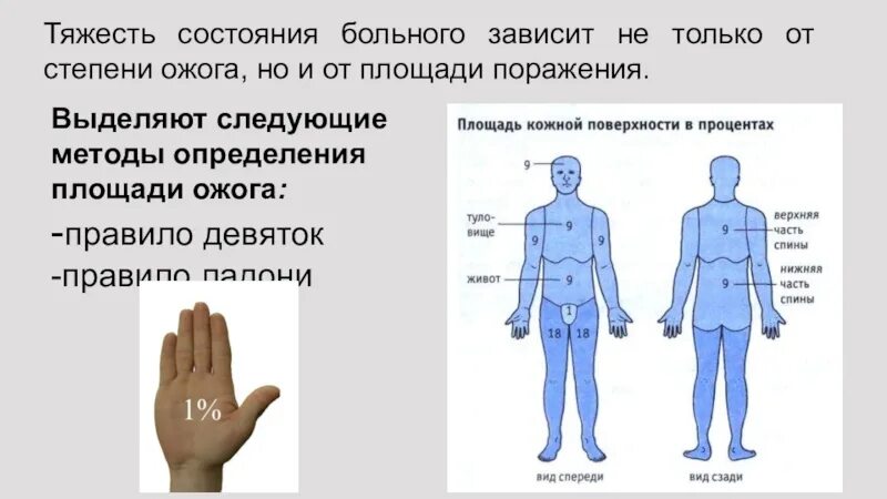 Ожоги проценты поражения. Оценка степени тяжести по площади поражения при термическом ожоге. Ожоги по степени тяжести в процентах. Правило девяток и правило ладони.