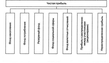 Как распределяется чистая прибыль