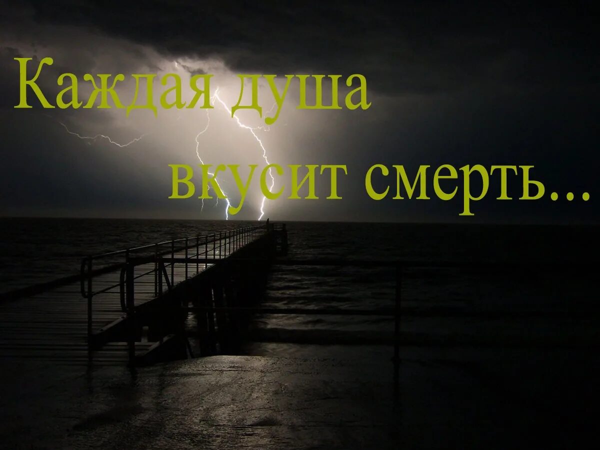 Просто живем и умираем. Жизнь и смерть. Конец жизни смерть. Картинки жизнь и смерть рядом.