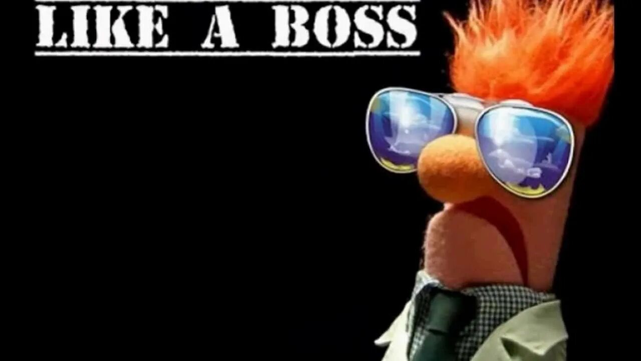 Act like a boss mr swallow. Лайк э босс. Like a Boss картинка. Лайк э босс Мем. Лайк э босс в очках.