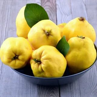 Можно ли есть декоративную айву