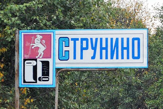 Туту струнино. Герб Струнино. Струнино Владимирская область. Герб Струнино Владимирская область. Герб города Струнино.