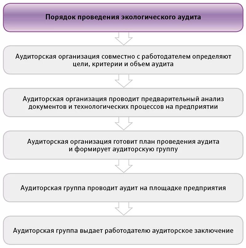 Процедуры экологического аудита. Порядок проведения экологического аудита. Формы проведения аудита на предприятии. План проведения экологического аудита. Аудит сторонней организации