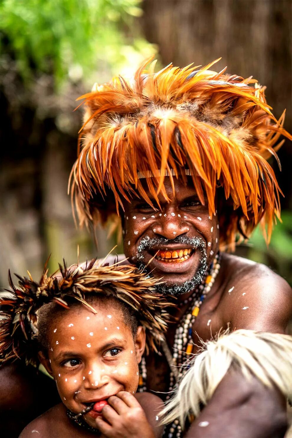 Племя. Племя Дани новая Гвинея.