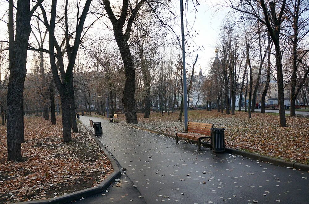Индекс девичьего поля. Сквер девичьего поля москва. сквер девичьего поля хамовники. сквер девичьего поля зимой. лужники парк.