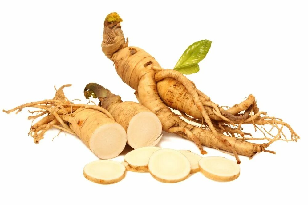 Panax Ginseng женьшень. Корень Гинсенг. Корень красного женьшеня. Женьшень настоящий (Panax Ginseng). Корень png