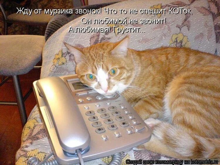 Как долго ждать звонка. Жду звонка. открытка жду звонка. жду твоего звонка. жду звонка от любимого.