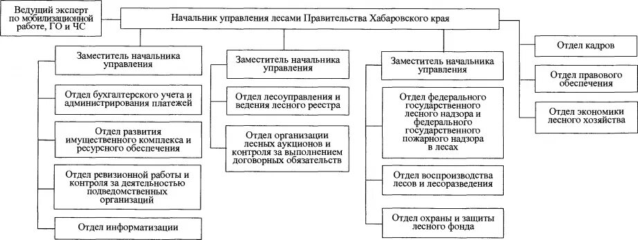 Внутренняя организация правительства. Структура исполнительной власти Хабаровского края. Структура органов государственной власти Хабаровского края. Структура правительства Хабаровского края схема. Органы власти Хабаровского края схема.