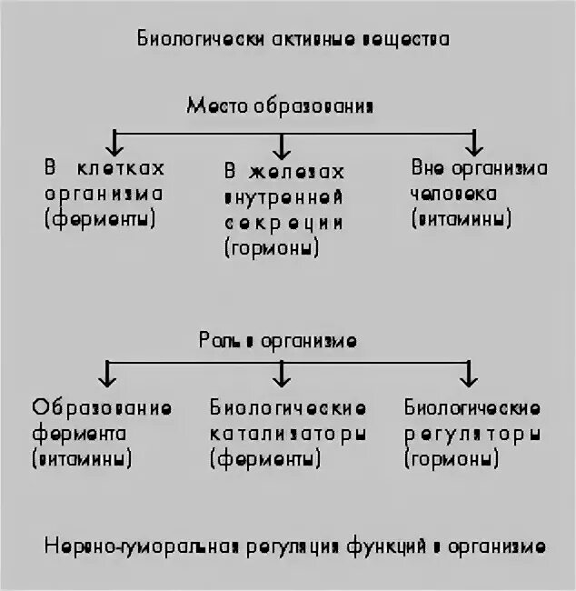 Ферменты гормоны витамины таблица. Гормоны витамины и ферменты отличия. Функции гормонов и ферментов. Сходства и различия гормонов витаминов и ферментов. Гормоны ферменты таблица