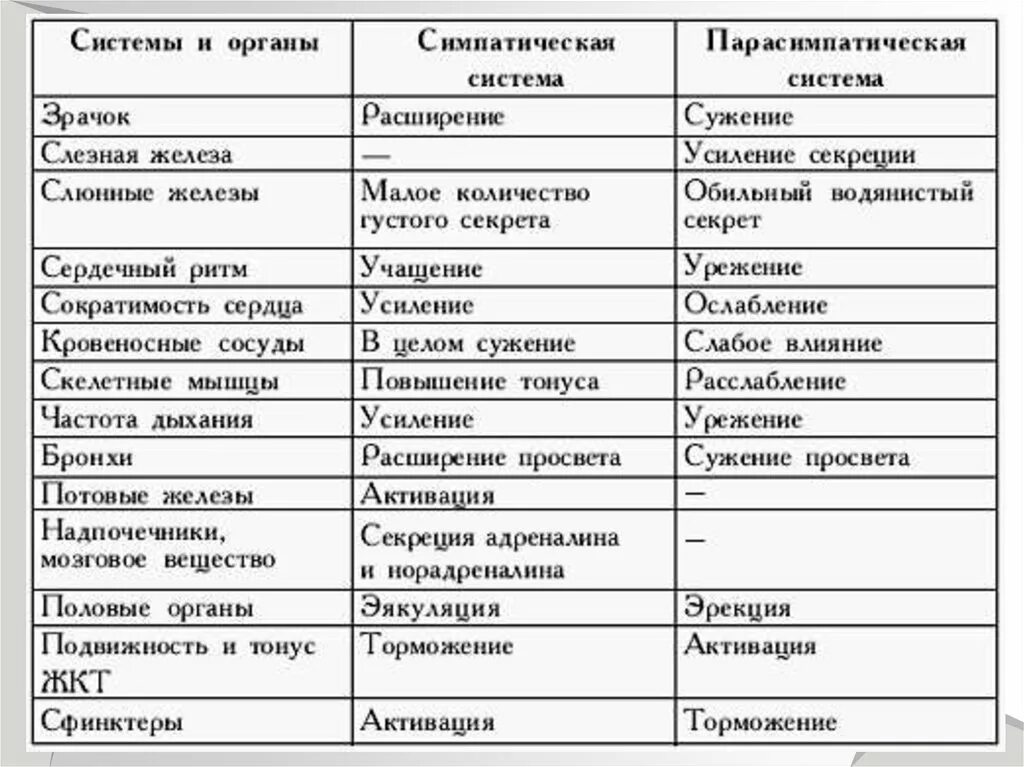 Действия симпатического и парасимпатического отделов. Таблица влияние симпатической и парасимпатической нервной системы. Симпатическая и парасимпатическая нервная система таблица. Влияние вегетативных нервной системы и функции таблица. Сравнительная характеристика симпатической и парасимпатической.