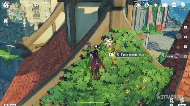 Гриб филамено геншин импакт. Гриб филанемо геншин. Геншин импакт филанемо. Местоположение грибов филанемо геншин импакт. Гриб филанемо геншин импакт.