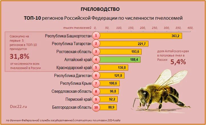 Пчеловодство страны. Пчеловодство в россии регионы. численность пчёл в россии. количесиво пчёл в семье график. пчеловодство субъекты рф.