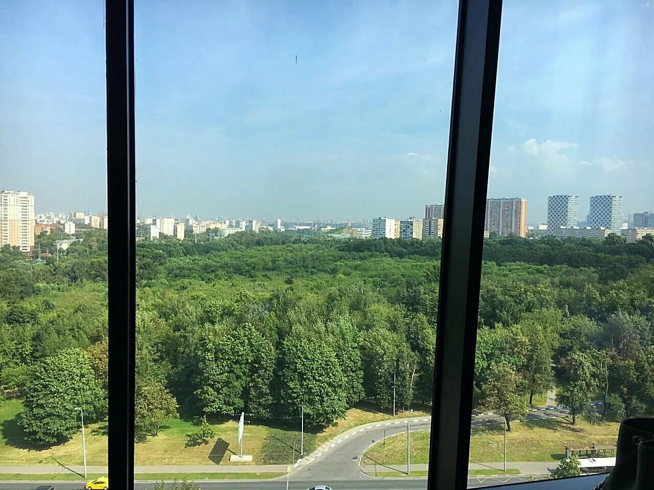 Окно с видом на природу. Вид из окна. Виды окон. Вид из окна. Квартиры с видом на централ парк в нью йорке.