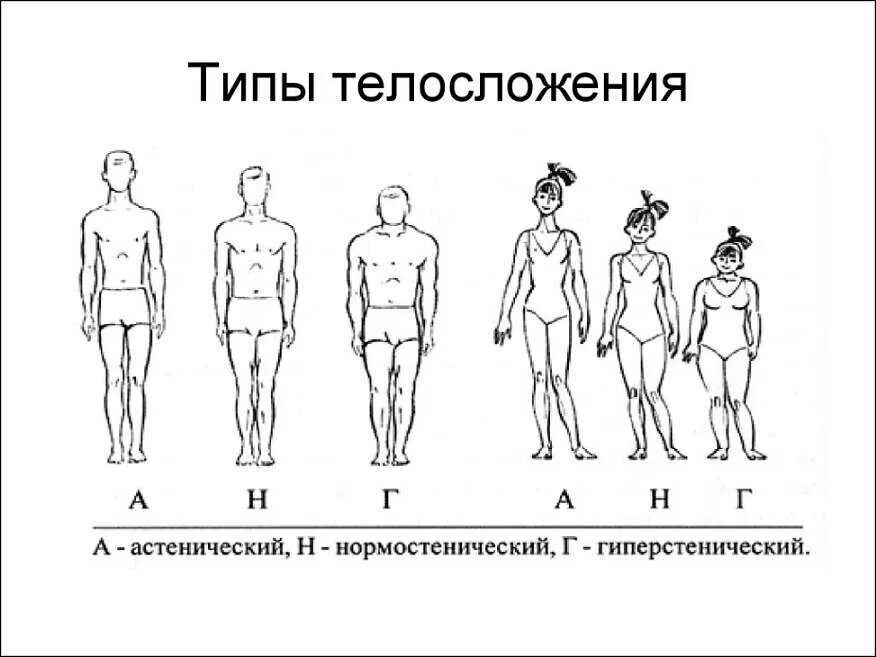 Безликое неотличимое от фона определите тип. Типы конституции тела человека астеник. астенический тип конституции. тип конституции астенический гиперстенический нормостенический. астеник тип телосложения.