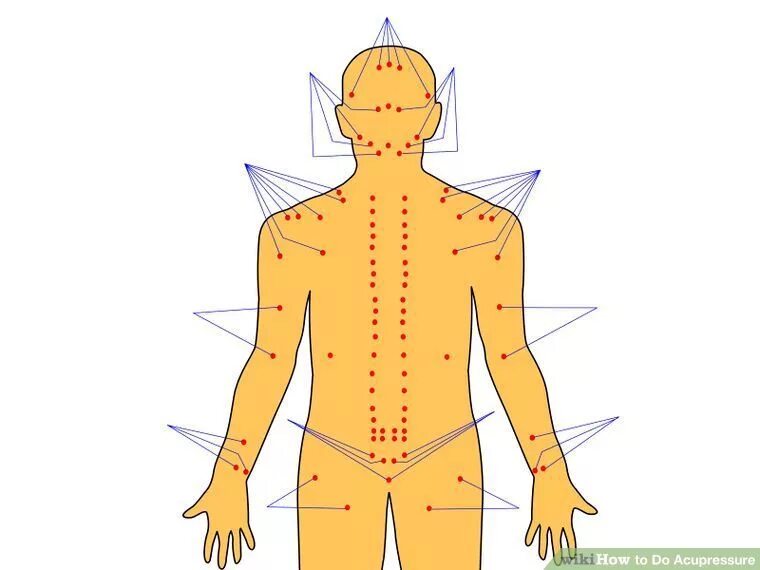 Массаж мужчине точки. Акупрессура. Карта точек Акупрессура. Акупрессура картинки. Биологически активные точки человека.
