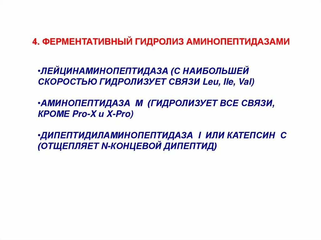 Характеристика пептидаз. Характеристика пептидаз таблица. Аминопептидаза фермент. Аминопептидаза фермент. Место синтеза аминопептидазы.