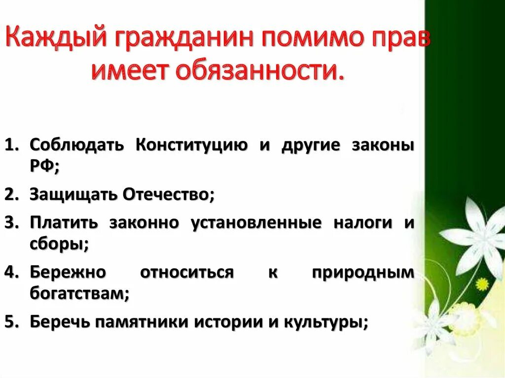 Обязанности граждан в Сингапуре. Равны ли обязанности граждан и лиц.