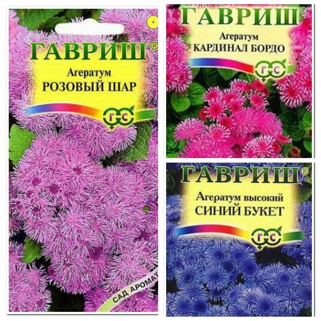Агератум малинка. Агератум розовый шар. агератум кардинал бордо. агератум синий букет гавриш. агератум мексиканский розовый шар.