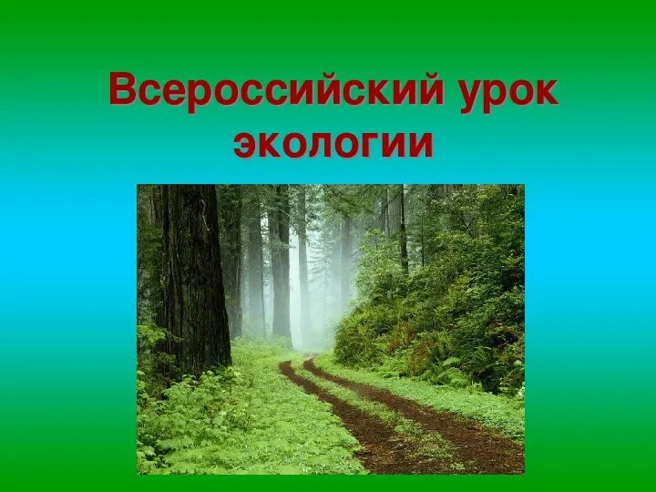 Экологический урок. Урок по экологии 1 класс. Урок что такое экология 5 класс. Экологический урок для 6 класса. Экологические разработки уроков