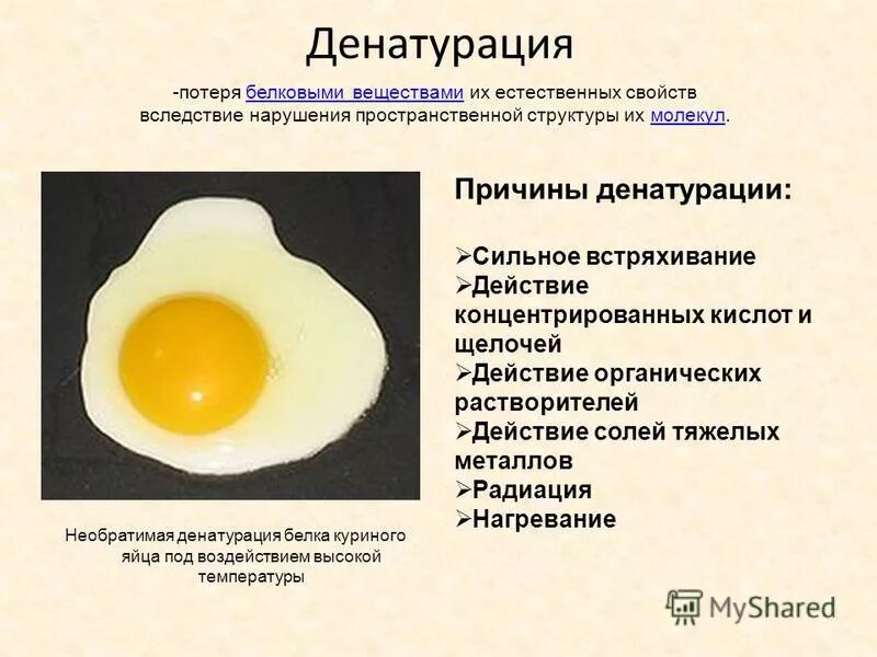 Раствор куриного белка