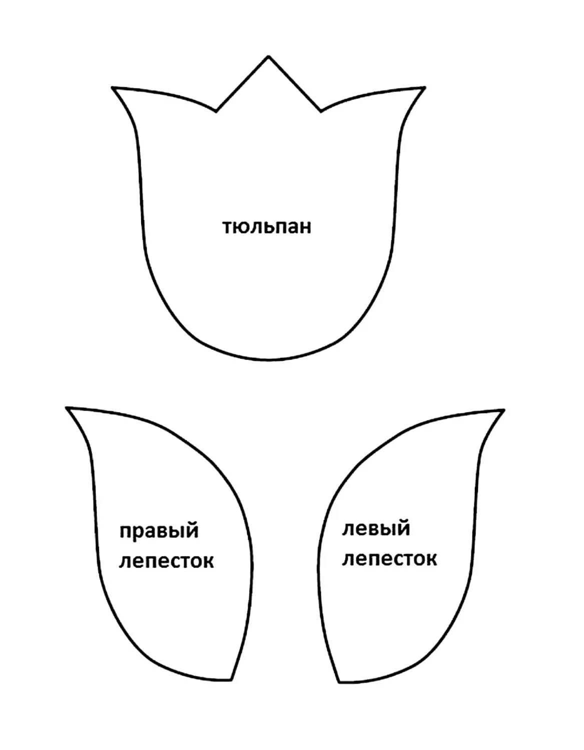 Лепесток тюльпана для вырезания. Шаблон тюльпанчиков для аппликации. Трафареты тюльпаны. Трафарет тюльпана для аппликации. Шаблон тюльпана для аппликации.