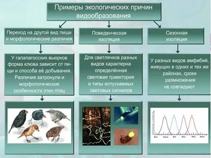 Причины экологического видообразования