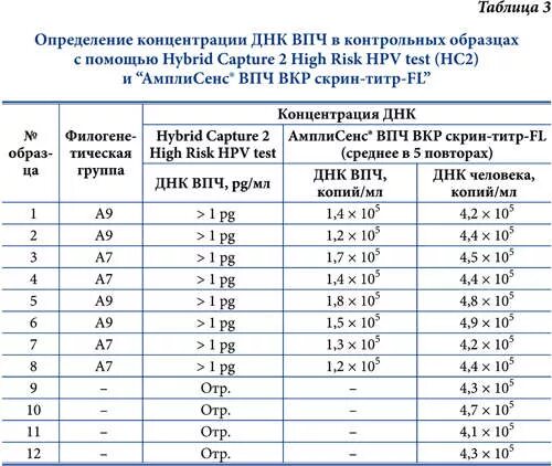 ДНК ВПЧ высокого канцерогенного риска. Концентрация вируса ВПЧ. Типы ВПЧ высокого онкогенного риска. Генотипы ВПЧ высокого риска.