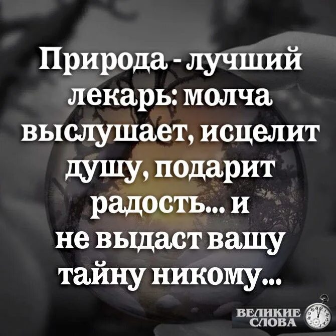 Время лучший лекарь. Время лучший лекарь. Природа лучший целитель. Люблю тебя всем сердцем и душой. Лучший лекарь.