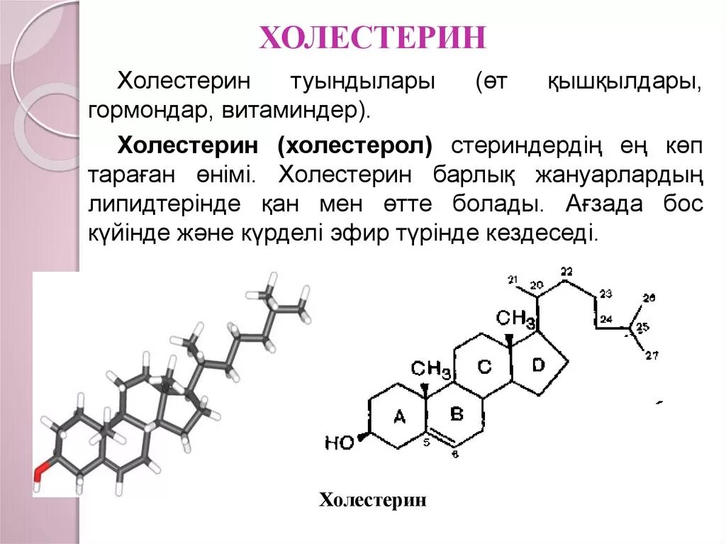 Холестерин хеликс