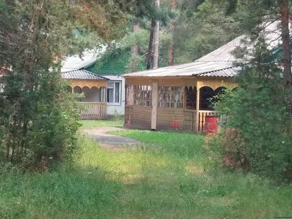 Зеленый борок курганская область
