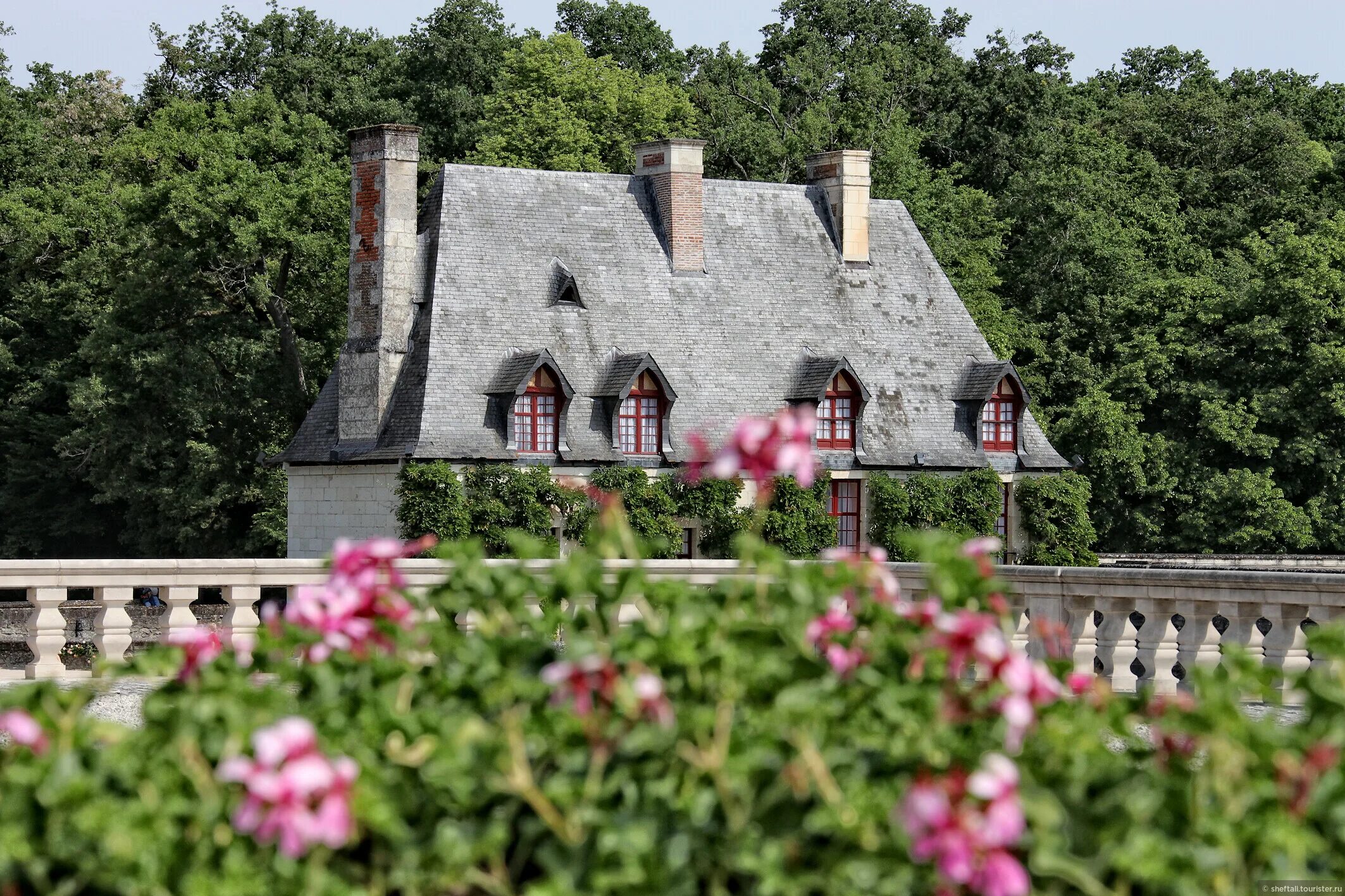 стражники у ворот замка. как пройти квест комната в замке. стражники у ворот замка. стражник у ворот. стражники города.