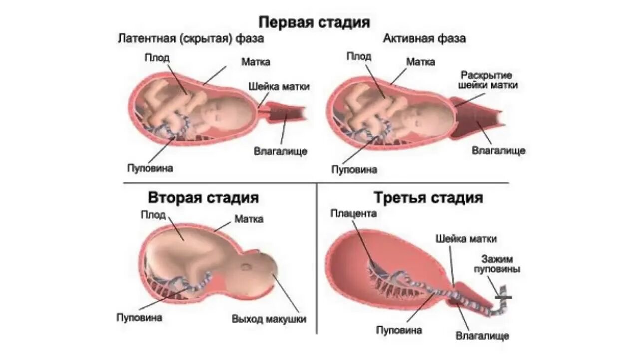 Кесарево выделения норма. Процесс рождения ребенка.