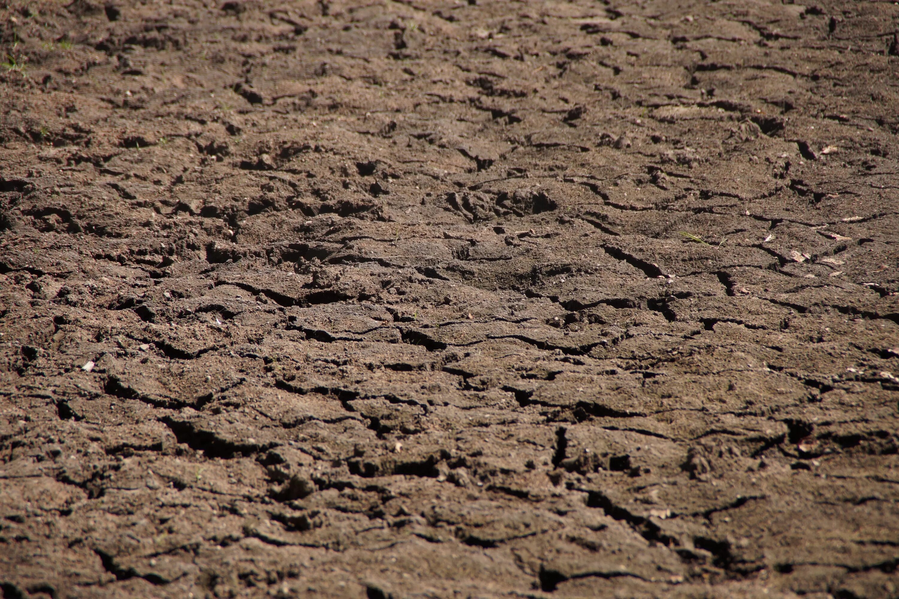 Ground