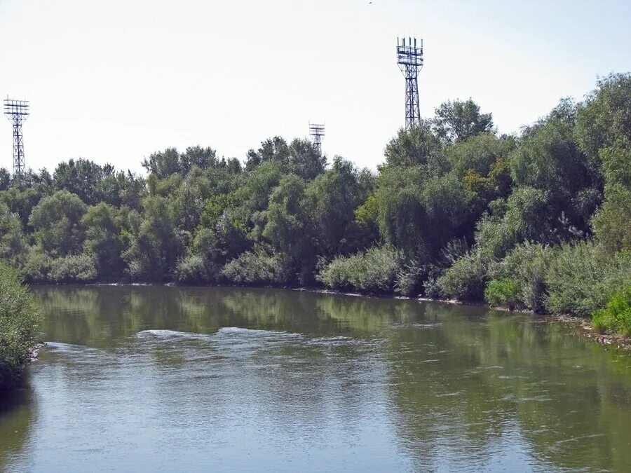 Река алей алтайский. Река алей Алтайский край. Река алей в Рубцовске. Река Склюиха Алтайский край. Самая длинная река в Алтайском крае.