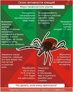 При какой температуре обрабатывать ракурсом