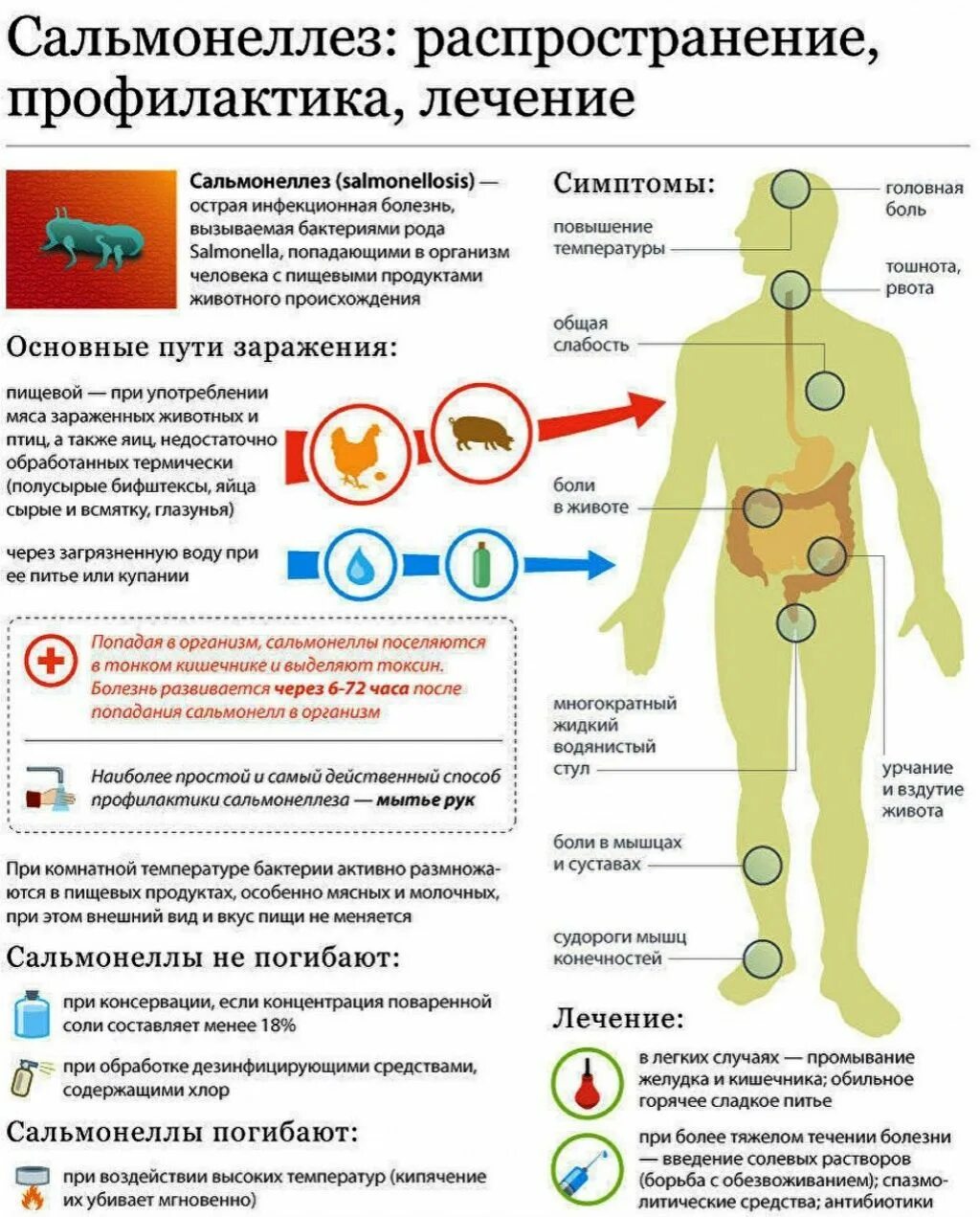 Сальмонеллез причины симптомы профилактика. Симптомы заражения сальмонеллезом. Сальмонеллез профилактика распространения инфекции. Заражение сальмонеллой симптомы. Какие болезни опасные для человека