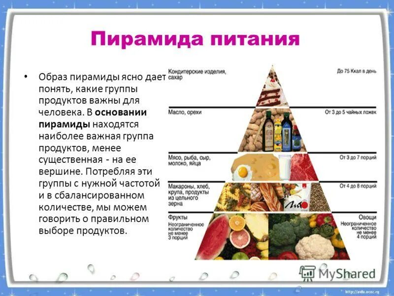 Здоровое питание представляет собой тест. Пирамида потребностей питания. пирамида рационального питания схема. питание пирамида здорового питания. пирамида питания здорового человека.