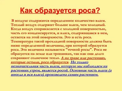 Презентация роса
